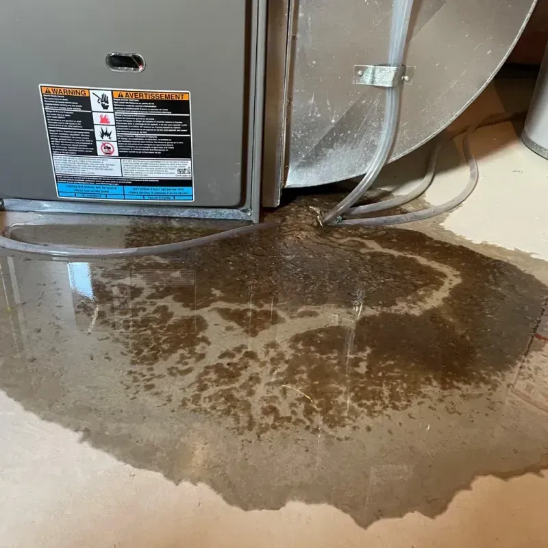 Appliance Leak Cleanup in Mechanicsville, VA